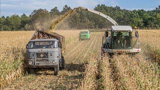 Retró Silózás 2024 12x Mtz 6x Ifa Rába-Steiger 250 Zetor Crystal I Vissza az időbe...