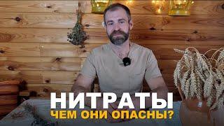 НИТРАТЫ В ОВОЩАХ И ФРУКТАХ. Как не допустить избытка нитратов в свой урожай и организм.