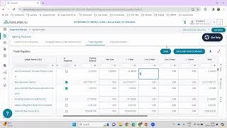 1. Revised  Schedule III-Statement Generation - Ageing Analysis