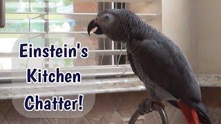 Einstein's Kitchen Chatter