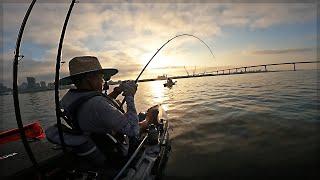 INSANE SLOW PITCH BITE in San Diego Bay! - Major Craft - CBN Baits -- Hobie Mirage Outback 2024