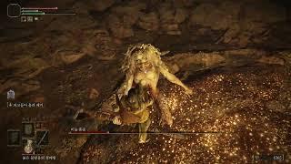 Scaly Misbegotten / No Damage [Elden Ring]