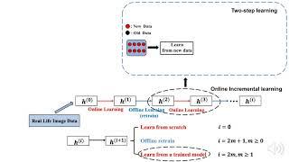 Incremental Learning in Online Scenario