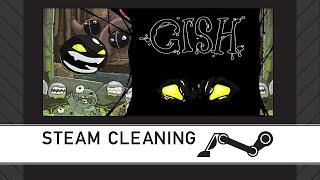 Steam Cleaning - Gish