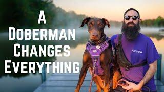 Why a Doberman Sidekick Will Change Your Life