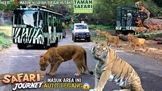 Taman Safari Bogor Indonesia ‼️ Eksplore Terkini Melihat Hewan Langka Dari penjuru Dunia