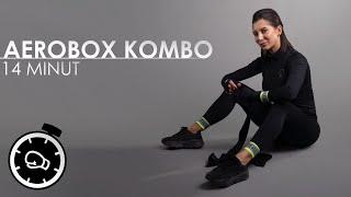 AeroBox Combo - Total Body Workout | Martial Arts