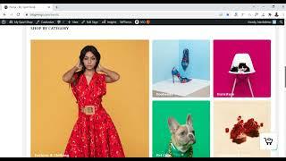 How to Create a Online Store With Wordpress 2022 | ThemeHunk