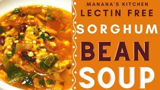 Healthy Gluten Free Recipes | How to Make Bean Sorghum Vegetable Soup - Lectin Free Recipes 2022