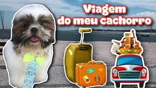 VIAGEM DE CARRO COM MEU CACHORRO / VLOG