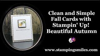Clean and Simple Fall Cards with Stampin' Up! Beautiful Autumn