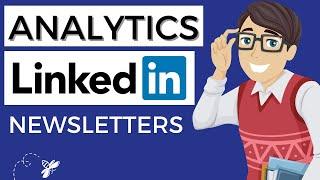 Where do you find your Company Newsletter data on LinkedIn?
