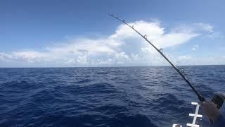 Andy Lands a 25 lb Mahi.