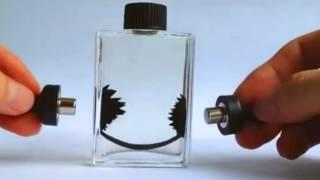 【Nuevo Anuncio】Creative Ferrofluid Magnetic Liquid Display Bottle de Tmart.es