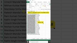 How To Separate Data Columns wise / text to columns #shorts #excel #msexcel #exceltutorial #viral
