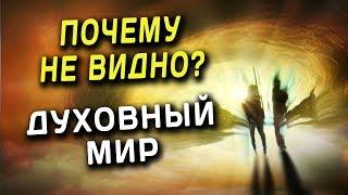 Почему не видно Духовный мир? Священник Максим Каскун