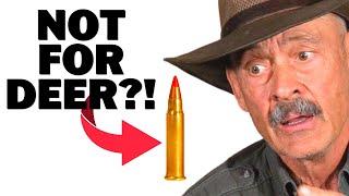 Varmint Rounds For Deer Hunting - How Small Is Too Small?
