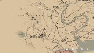 RDR2 - What happened here?