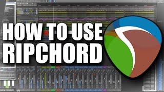 How To Use RipChord In Reaper