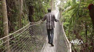 LEKKI CONSERVATION - 30min TOUR Lagos | The Africa Channel Clip