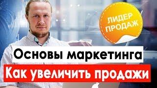 Основы маркетинга для начинающих. Маркетинговая стратегия. Как увеличить продажи