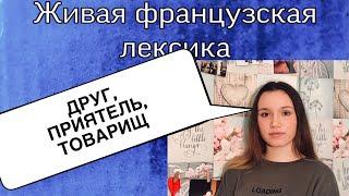 ДРУГ, ПРИЯТЕЛЬ, ТОВАРИЩ | ФРАНЦУЗСКАЯ ЛЕКСИКА