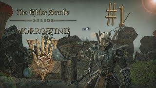 The Elder Scrolls Online начало игры #1