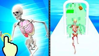 DNA Run 3D - Human DNA Run - All Levels iOS Android GamePlay