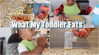 What My One year old eats in a full day!