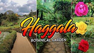 හක්ගල උද්භිත උයන - Hakgala Botanical Garden