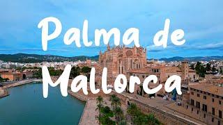 Explore the old town and cathedral in Palma de Mallorca