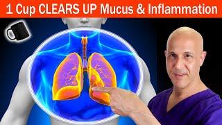 1 Cup to CLEAR UP Mucus & Inflammation...Support Your Sinuses, Chest, and Lungs!  Dr. Mandell