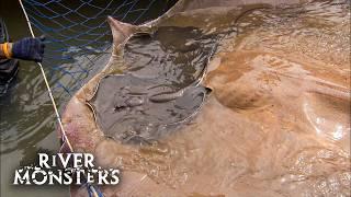 River Monsters Full Episode - Season 2, Episode 4 - Death Ray