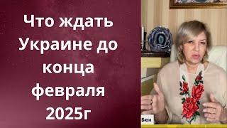 ️  Что ждать Украине до конца февраля 2025 г    Елена Бюн