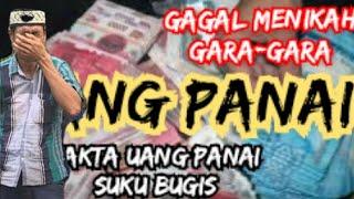 UANG PANAI!!! 7 Fakta Uang panai dalam pernikahan Suku Bugis