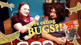 Watch us eat bugs! The Thompsons Try Chapulines