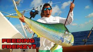 Chub Cay Invitational Tournament | INSANE MAHI FRENZY!!| Winner Takes All!!