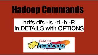 Basic HDFS Commands:  hdfs dfs  -ls in Details with all OPTIONS