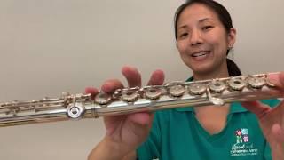 Flute - lesson 2- first 5 notes in beginning band