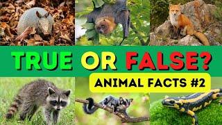 True or False Animals Quiz #2 - Questions and Answers - Trivia Questions - Animals Facts - Fun Facts