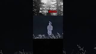 ВСТРЕТИЛ НОЧЬЮ ЖУТКОГО ПОКОНГА #paranormal #мистика #поконг #scaryvideos