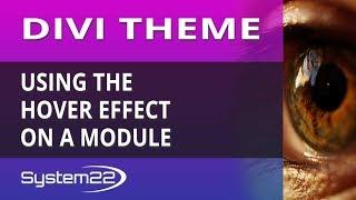 Divi Theme Using The Hover Effect On A Module