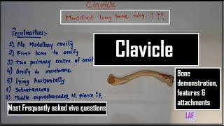 Clavicle bone Demonstration II Most FAQs for viva #anatomy