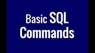 Basic SQL Commands in a Data Base - In 1 minute