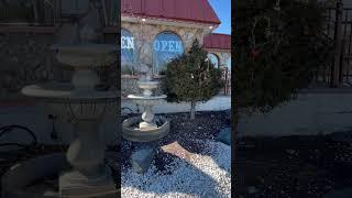 Christmas Tree and Water Fountain 3/18/25