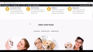 Installing demo data Veterinary WordPress theme | Webful Creations