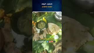 ఘనంగా ఎలమాస పండుగ | Nizamabad | Telangana | Way2news Telugu