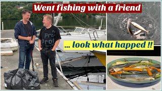 Mackrell fishing || Fishing in Norwegian fjords || Fishing vlog || Norway #fishingtrip #bergen