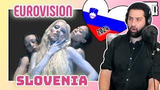 Slovenia Eurovision 2024 Reactionalysis - Music Teacher Analyses Veronika by Raiven