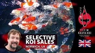 The Best Selection of Koi and Goods in the U.K 